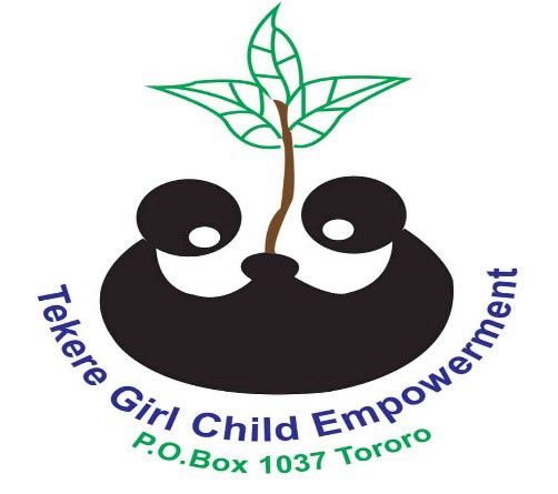 TIMS logo